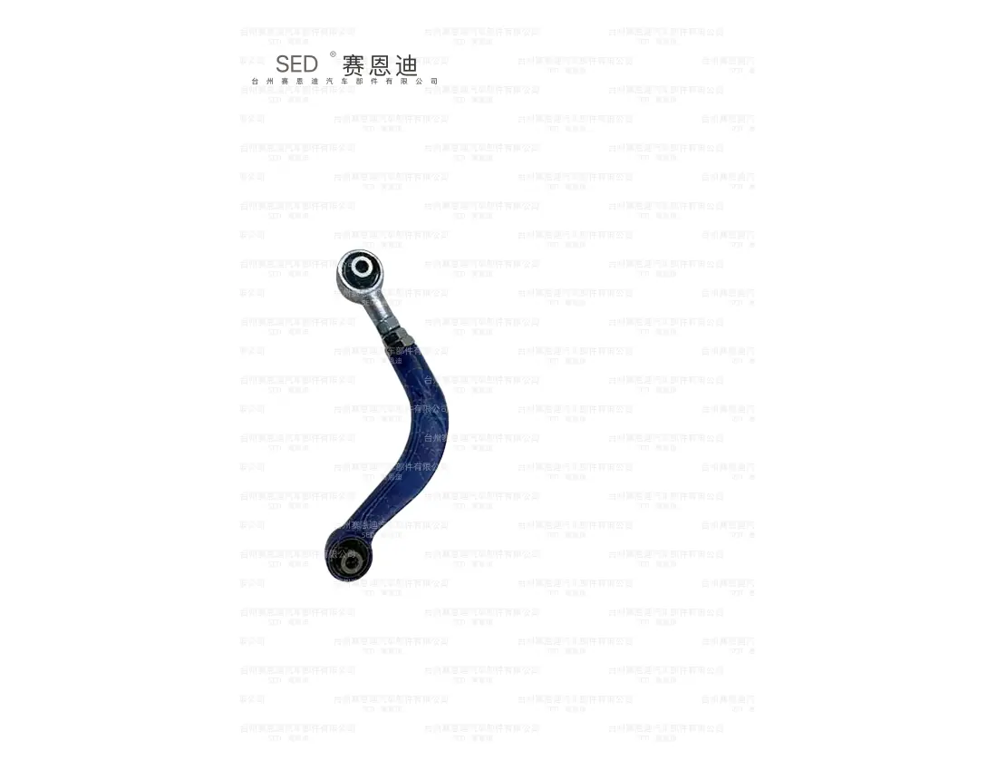 SED-CS-9001 Saidi suspension product